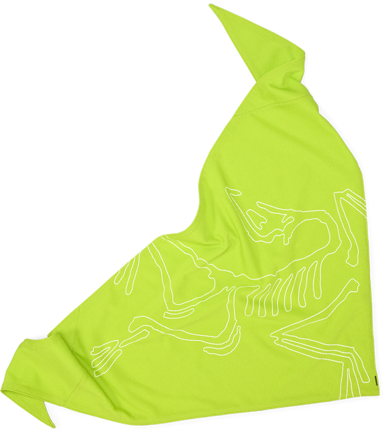 ARC'TERYX sinsolo bandana mantis